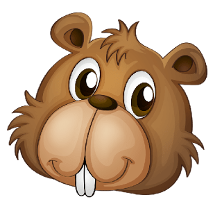 Beaver face transparent.