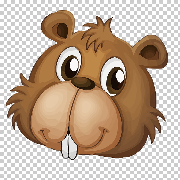 Beaver cartoon bear.