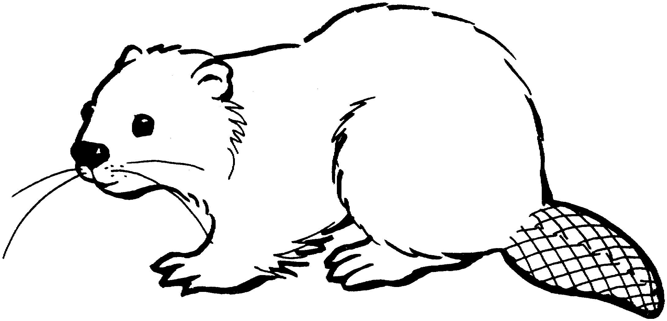 Free beaver coloring.