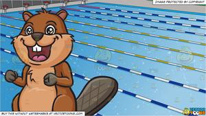 Eager Beaver and Outdoor Competition Swimming Pool Background