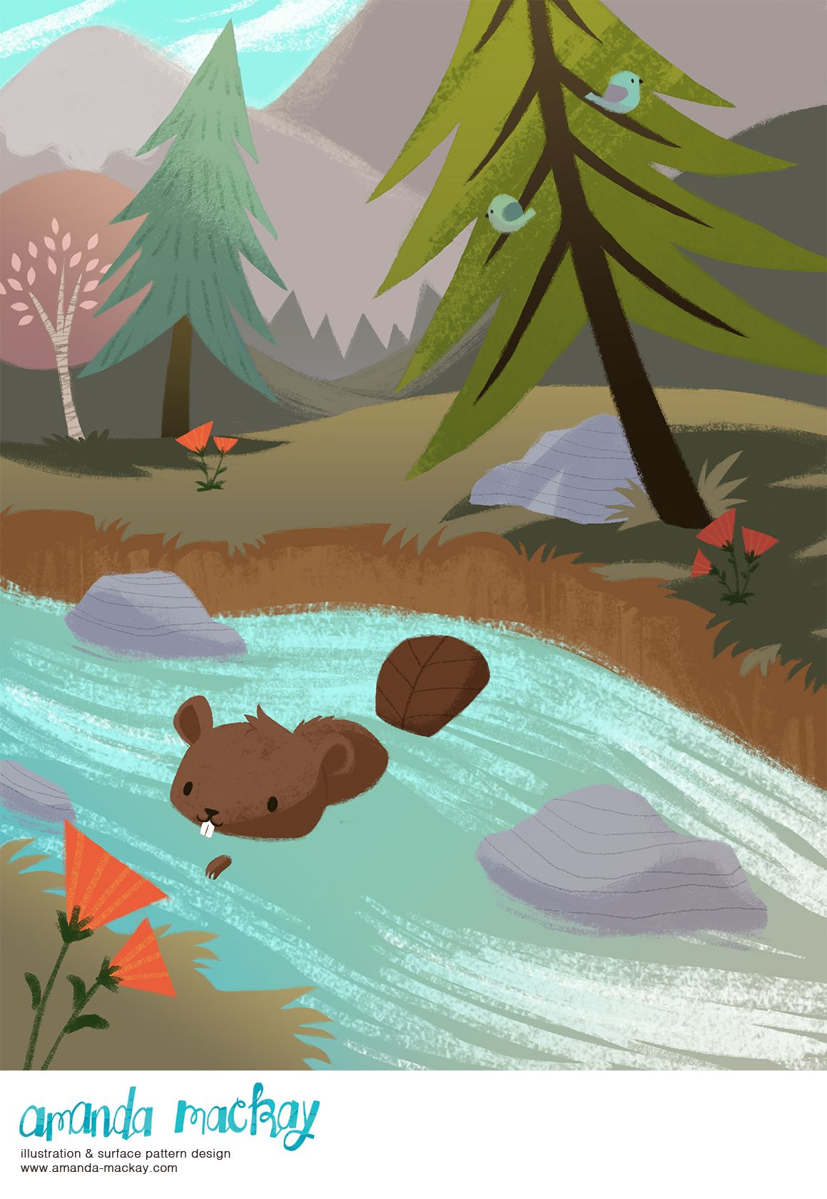 Little Beaver Swimming