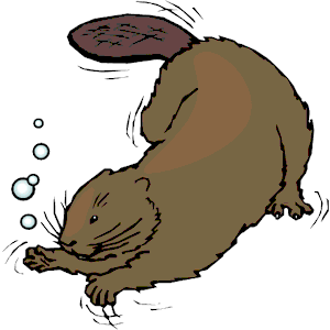 beaver clipart swimming