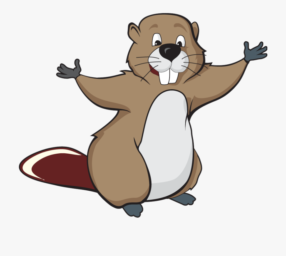 Beaver Png, Download Png Image With Transparent Background