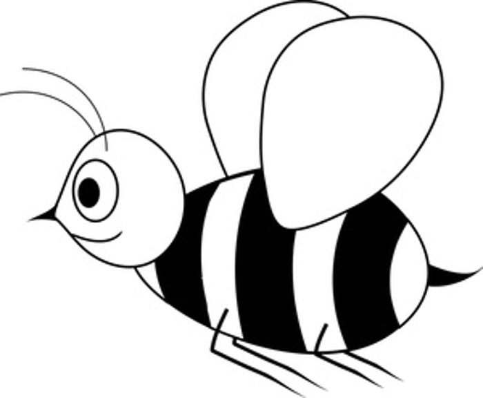 Bee black and white white bees clipart