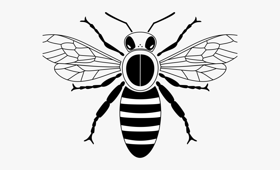 Bees clipart simple.