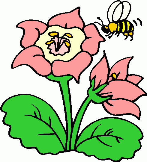 Free flower bee.