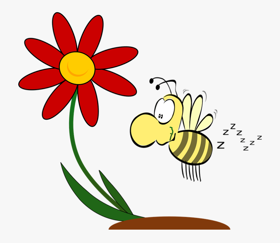 Flowers Attract Bees Clipart , Transparent Cartoon, Free