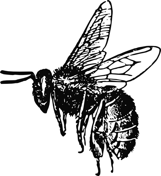 Bee clip art Free vector in Open office drawing svg