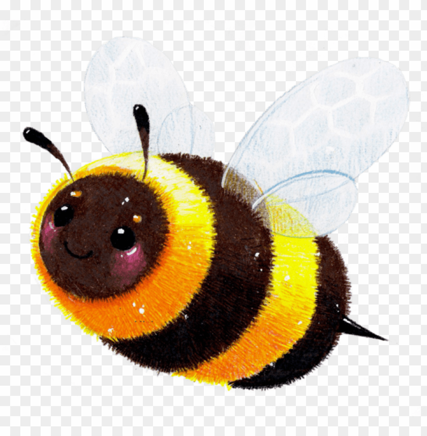 Cute honey bee.