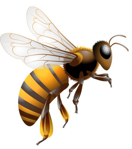 Free Bee Clipart, Download Free Clip Art, Free Clip Art on