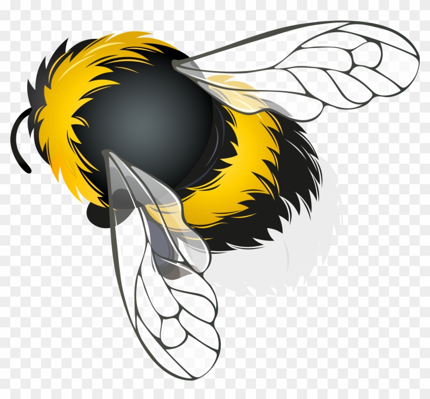 Bee png clipart.