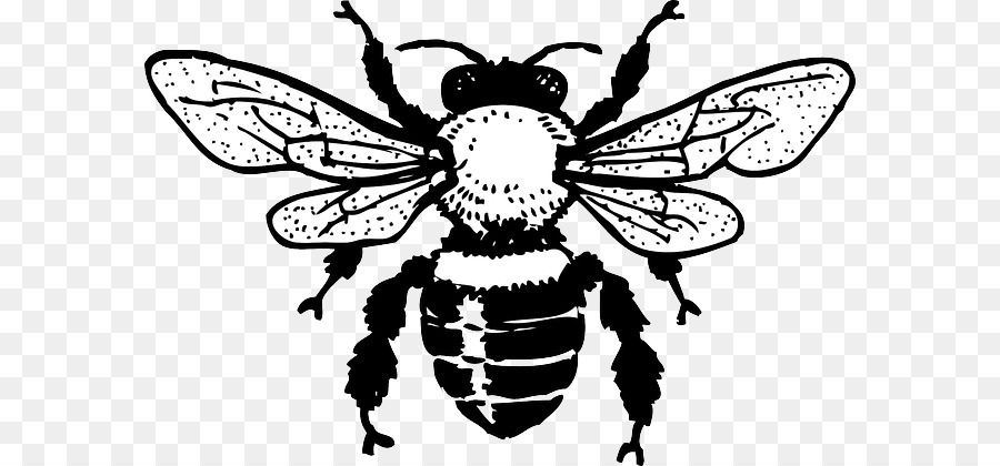 European Dark Bee Honey Bee Clip Art