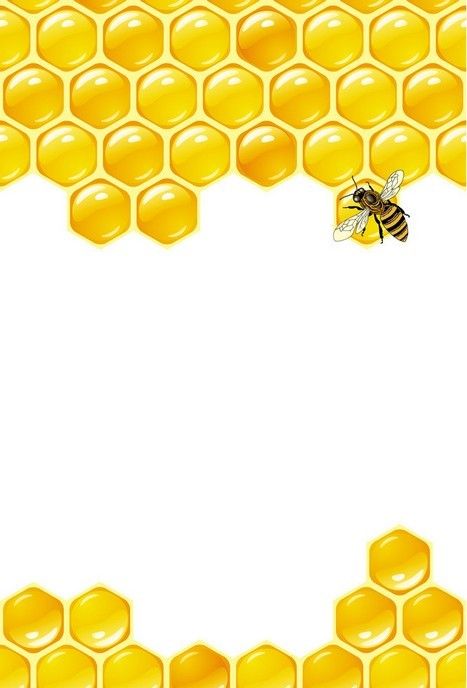 Honeycomb clipart border.