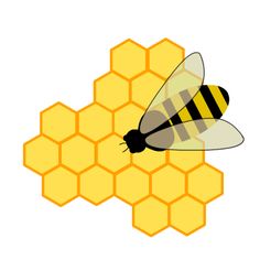 Beehive clipart hexagon, Beehive hexagon Transparent FREE