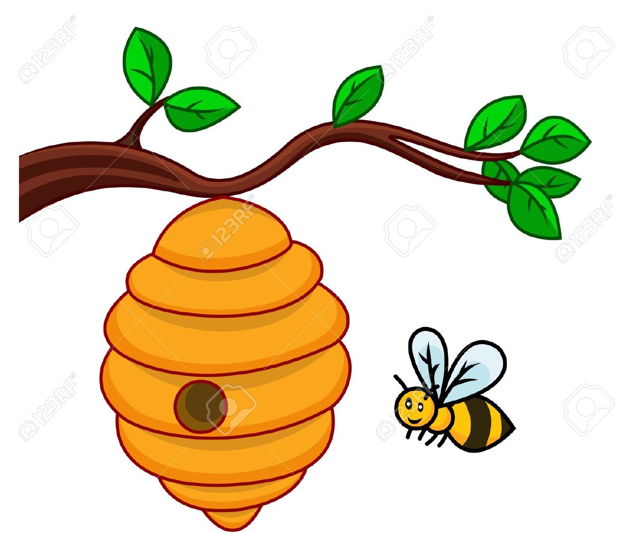 54 bee hive.