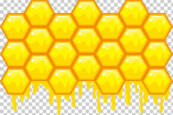 Bee honeycomb hexagon.