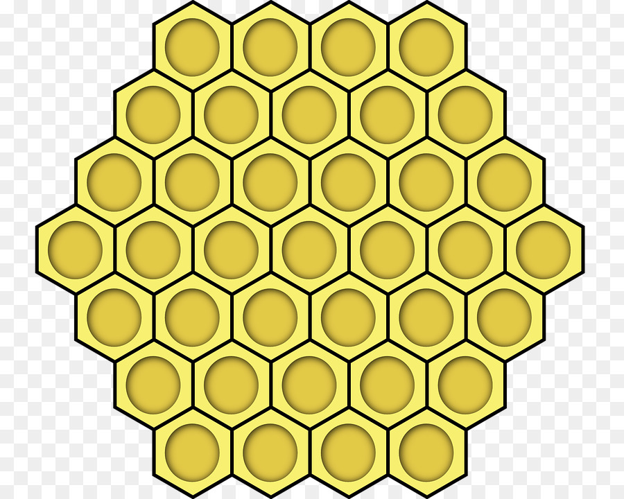 Honey bee Honeycomb Beehive Clip art