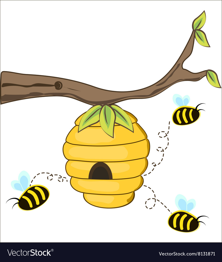 The bees fly out of a beehive