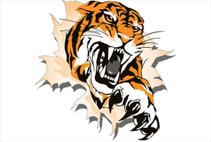 Tiger Playing Football Clipart