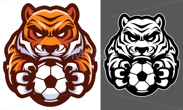 Tiger football soccer.