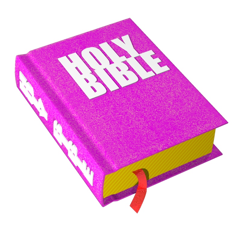 Holy bible pink.