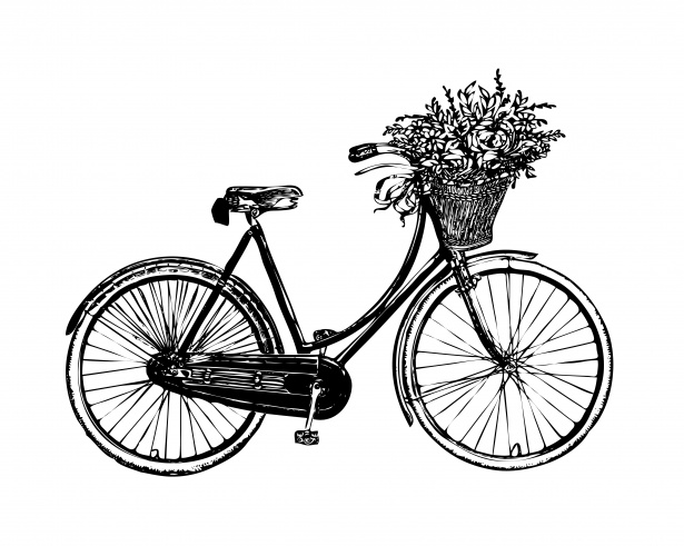 Bicycle Flowers Vintage Clipart Free Stock Photo