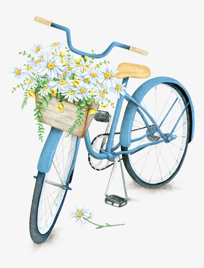 Exquisite Beautiful Flower Baskets Bicycle, Flower Clipart