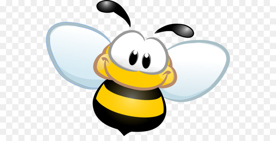 Honig biene insekt.