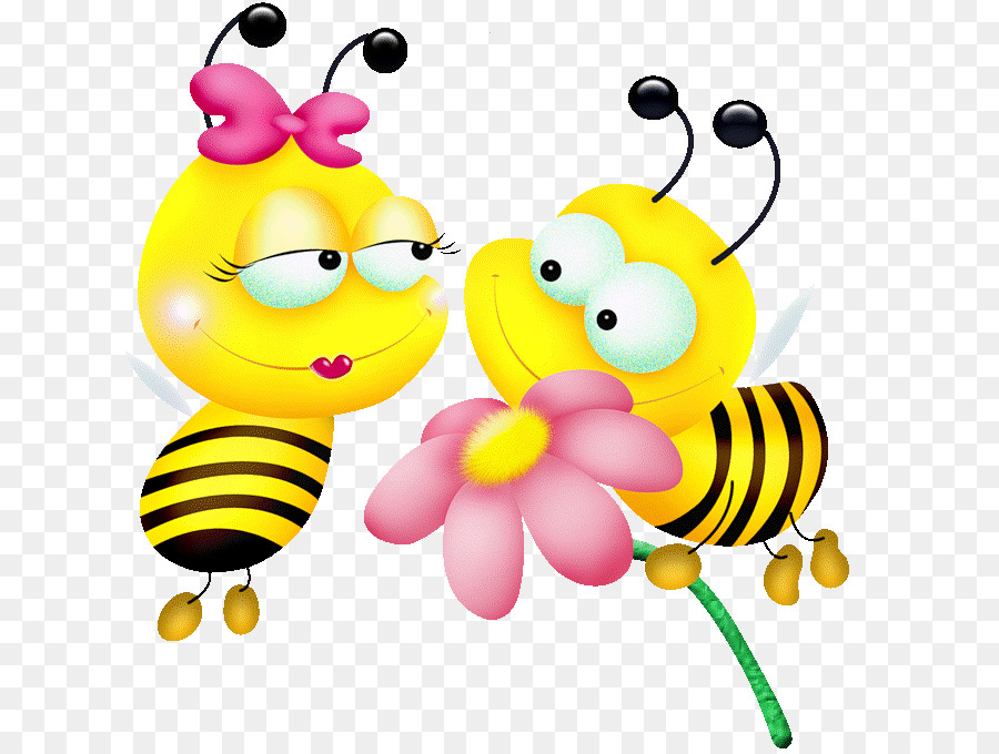 Westliche honigbiene insekt.