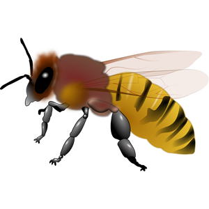 Honeybee clipart, cliparts of Honeybee free download