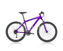 Realistic Mountain Bike Violet Vector stock vectors