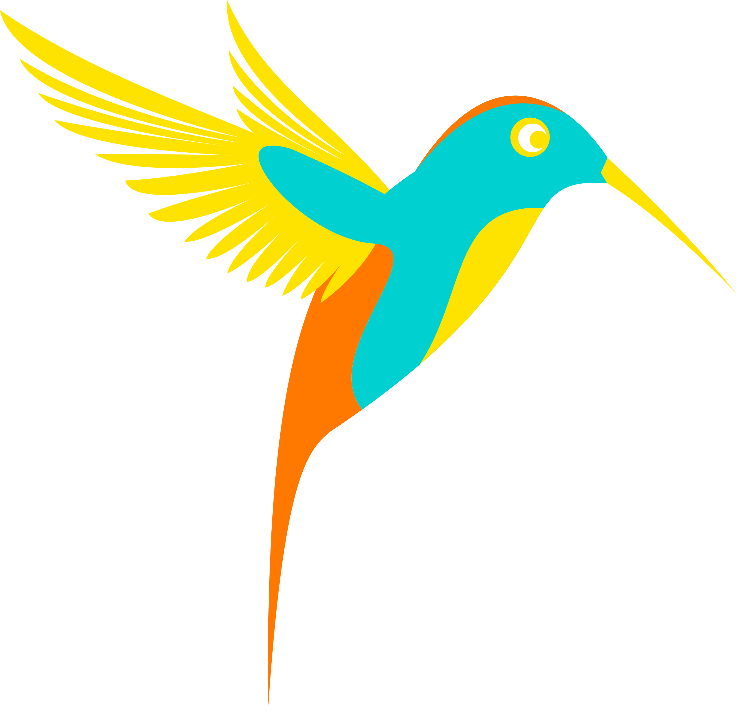 Colibri Colorful Bird vector clipart image
