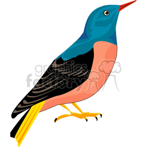 Colorful love bird clipart