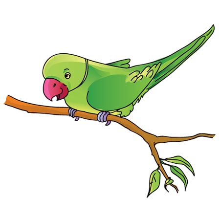 Free parrot cliparts.