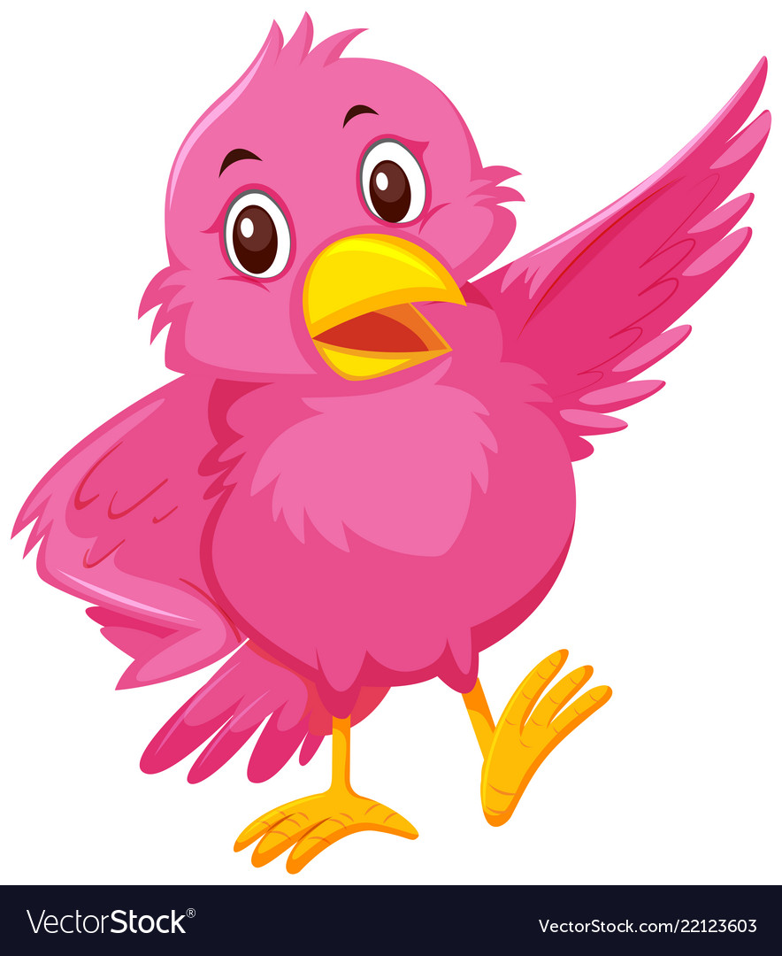 Cute pink bird.