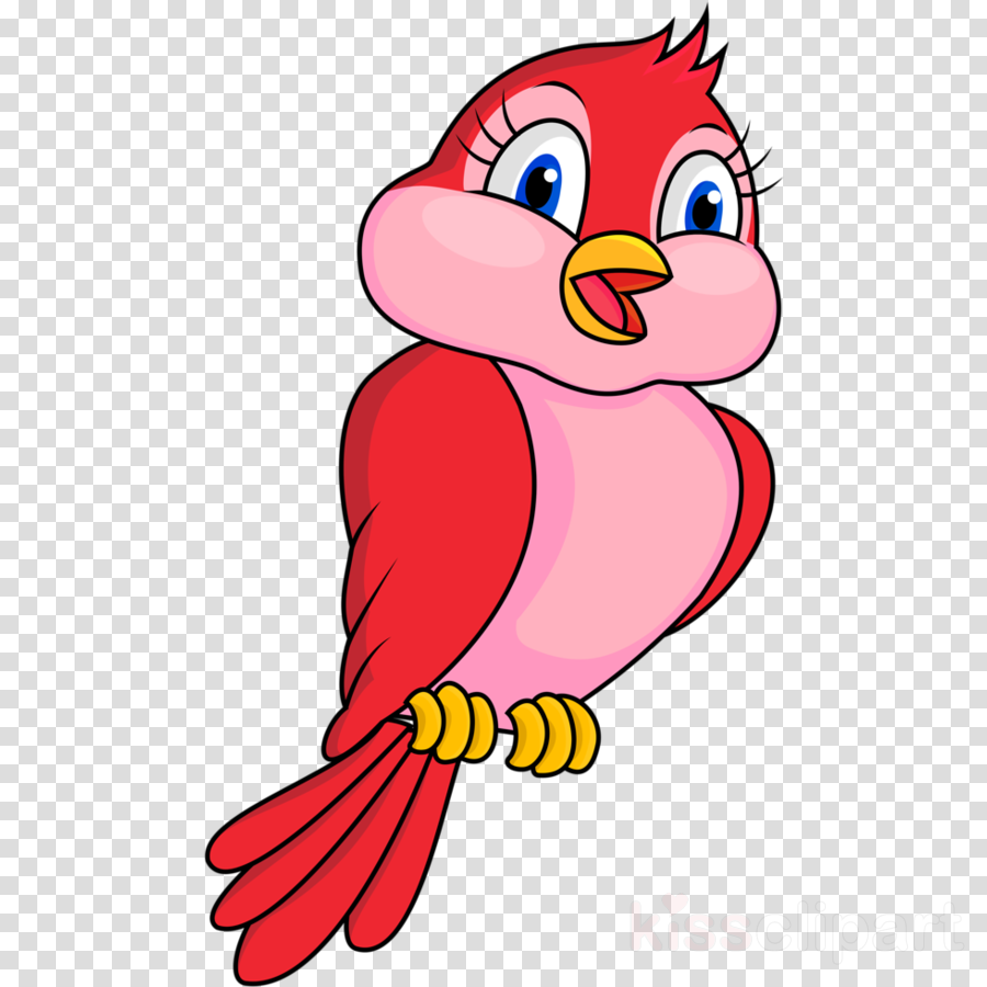Bird clip art cartoon pink beak clipart