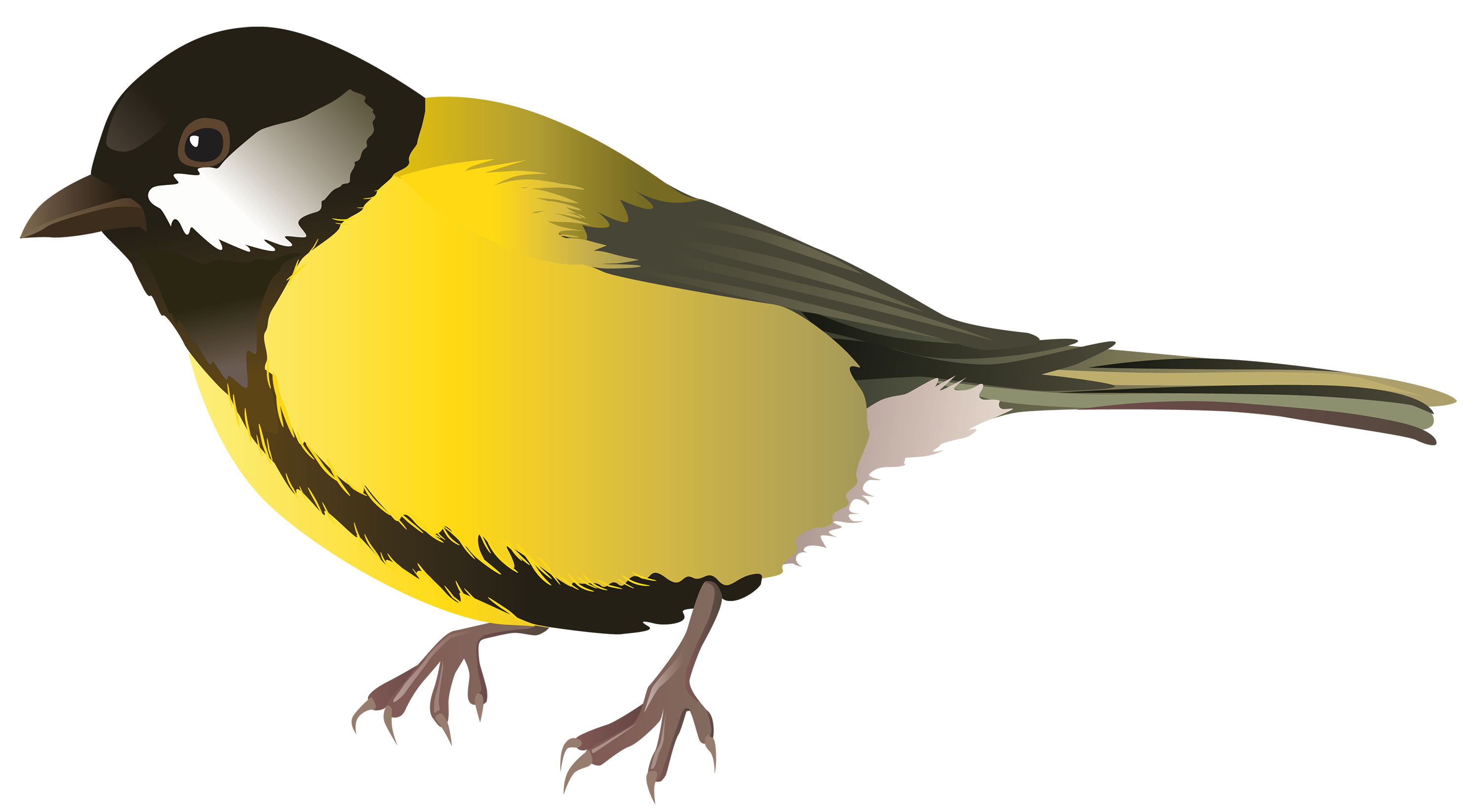 Free Realistic Birds Cliparts, Download Free Clip Art, Free