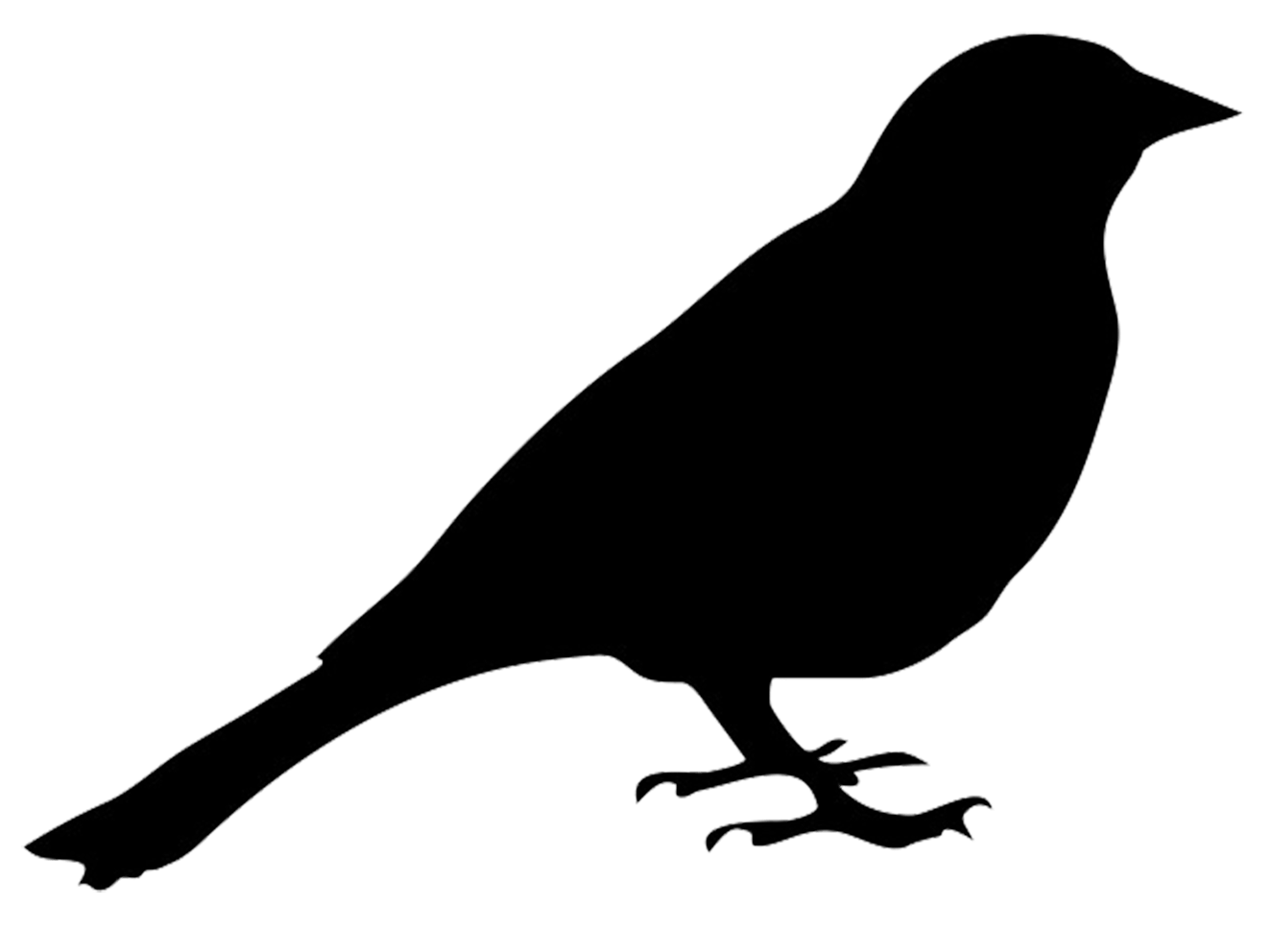 Bird Silhouette transparent PNG