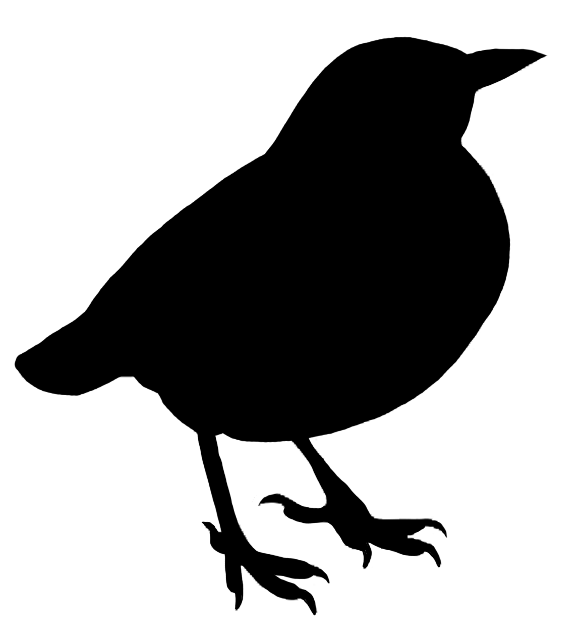Bird Silhouette Clipart transparent PNG