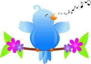 Bluebird happiness singing.