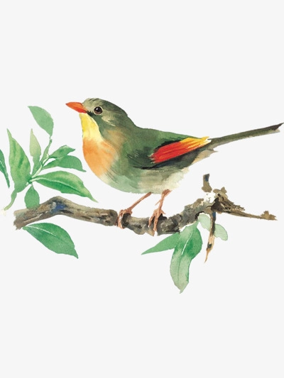 Download Free png Bird Tree, Bird Clipart, Tree Clipart