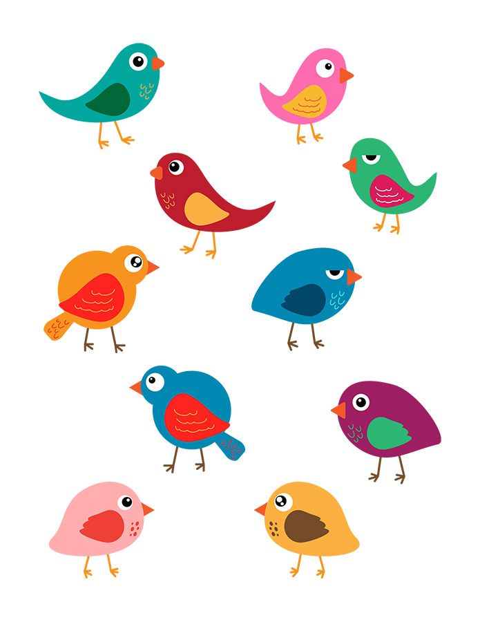 Colorful birds vector.