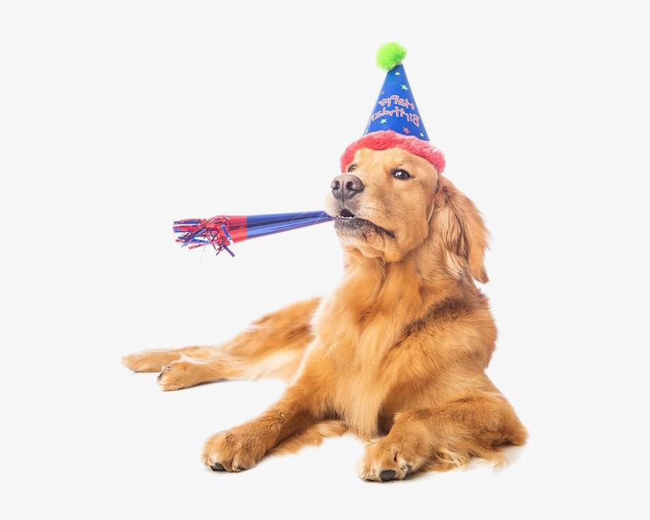 Puppy Dog Birthday Clipart Png