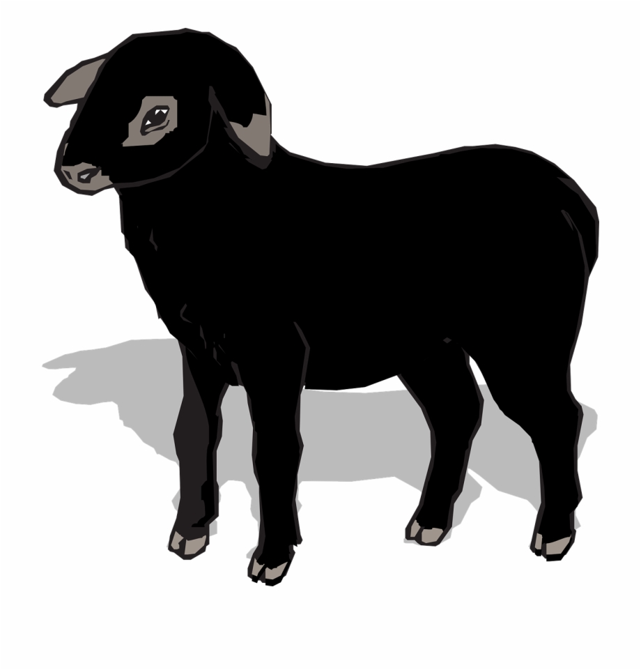 Sheep black png.