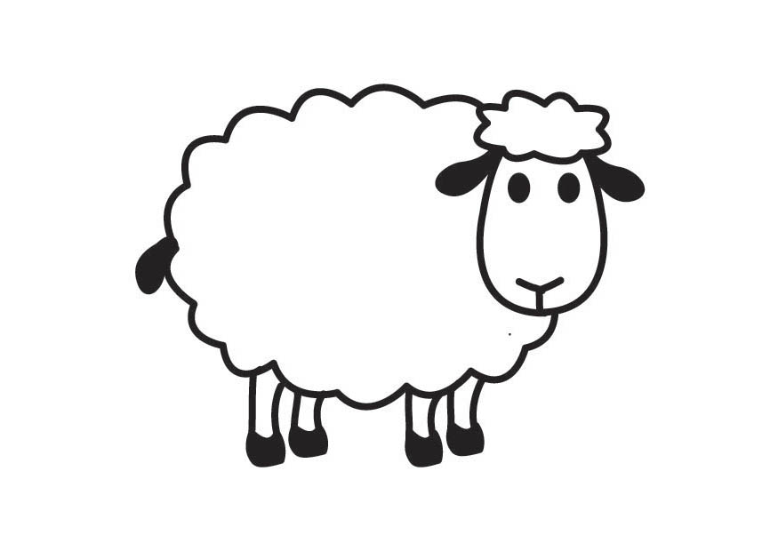 How drawing sheep.