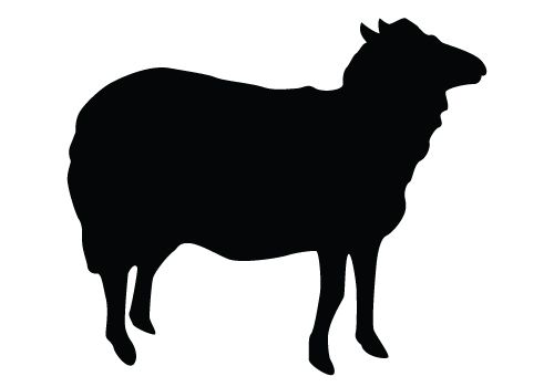 black sheep clipart shadow