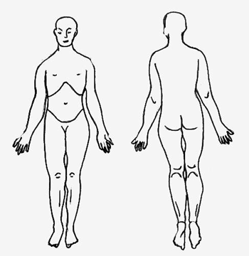 body outline clipart anatomical