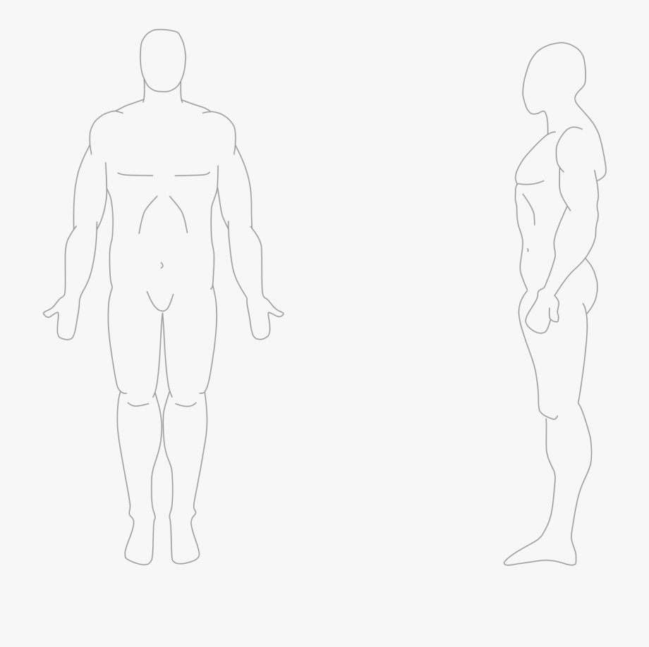 body outline clipart drawing