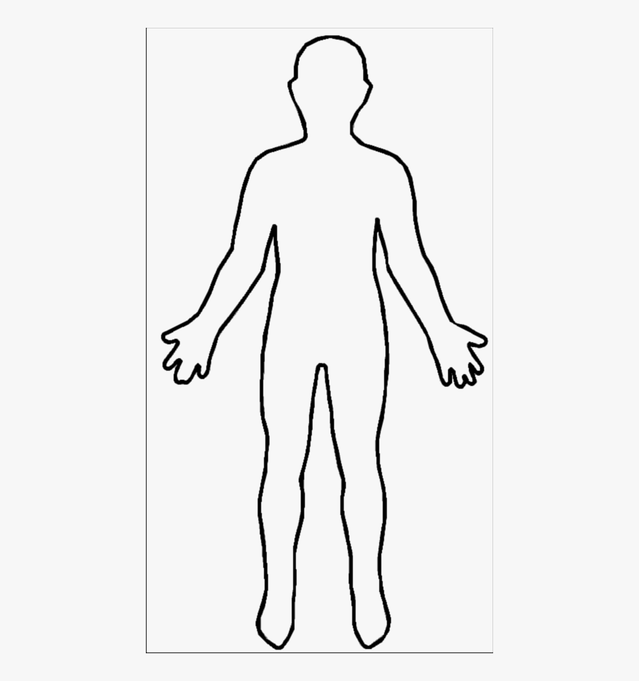 Body Outline Clipart Human Pictures On Cliparts Pub 2020 🔝