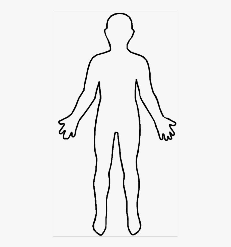 human body outline